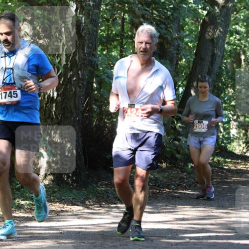 28.09.2025 - 33. Volkslauf durch das schöne Alstertal Strokosch-Dieckow http://msf.ph/oto/8971790 28.09.2025 12:22:09 Laufen 1745, 2424, 2606 meine-sportfotos.de