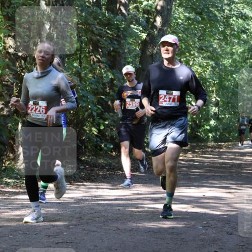 28.09.2025 - 33. Volkslauf durch das schöne Alstertal Strokosch-Dieckow http://msf.ph/oto/8971796 28.09.2025 12:22:24 Laufen 2226, 2599, 2471 meine-sportfotos.de