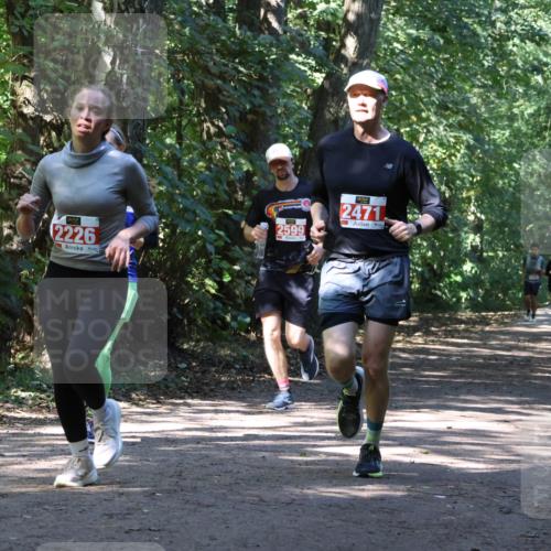 28.09.2025 - 33. Volkslauf durch das schöne Alstertal Strokosch-Dieckow http://msf.ph/oto/8971797 28.09.2025 12:22:24 Laufen 2226, 2599, 2471 meine-sportfotos.de