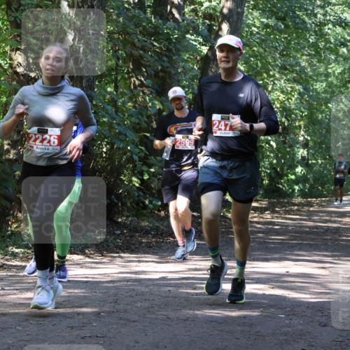 28.09.2025 - 33. Volkslauf durch das schöne Alstertal Strokosch-Dieckow http://msf.ph/oto/8971798 28.09.2025 12:22:24 Laufen 2226, 2599, 247 meine-sportfotos.de
