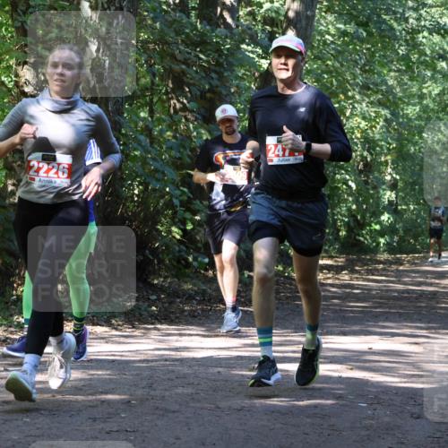 28.09.2025 - 33. Volkslauf durch das schöne Alstertal Strokosch-Dieckow http://msf.ph/oto/8971800 28.09.2025 12:22:25 Laufen 2226, 247 meine-sportfotos.de