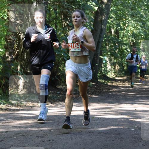 28.09.2025 - 33. Volkslauf durch das schöne Alstertal Strokosch-Dieckow http://msf.ph/oto/8971806 28.09.2025 12:22:42 Laufen 1742, 2104 meine-sportfotos.de
