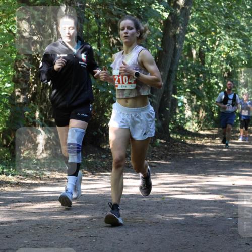 28.09.2025 - 33. Volkslauf durch das schöne Alstertal Strokosch-Dieckow http://msf.ph/oto/8971807 28.09.2025 12:22:42 Laufen 1742, 2104 meine-sportfotos.de