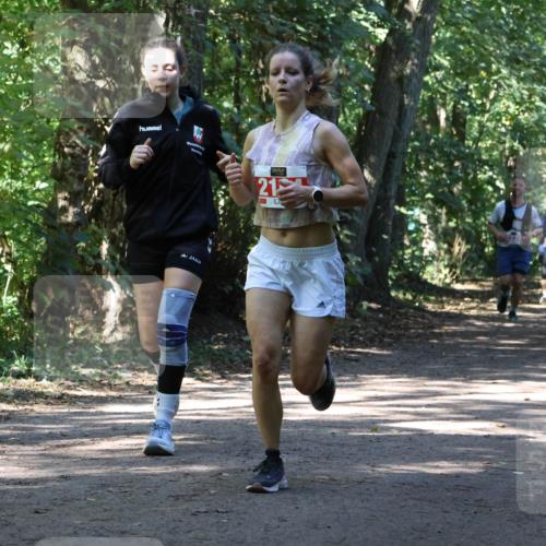 28.09.2025 - 33. Volkslauf durch das schöne Alstertal Strokosch-Dieckow http://msf.ph/oto/8971808 28.09.2025 12:22:42 Laufen 1742, 21 meine-sportfotos.de