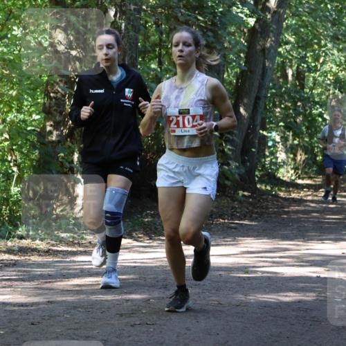 28.09.2025 - 33. Volkslauf durch das schöne Alstertal Strokosch-Dieckow http://msf.ph/oto/8971809 28.09.2025 12:22:42 Laufen 1742, 2104 meine-sportfotos.de