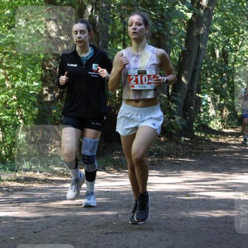 28.09.2025 - 33. Volkslauf durch das schöne Alstertal Strokosch-Dieckow http://msf.ph/oto/8971810 28.09.2025 12:22:42 Laufen 1742, 21042 meine-sportfotos.de