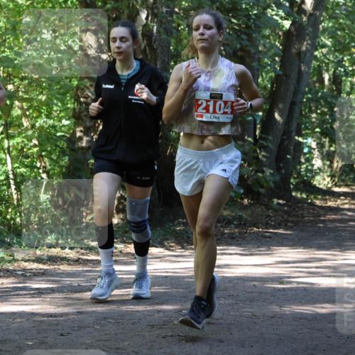 28.09.2025 - 33. Volkslauf durch das schöne Alstertal Strokosch-Dieckow http://msf.ph/oto/8971812 28.09.2025 12:22:43 Laufen 1742, 2104 meine-sportfotos.de