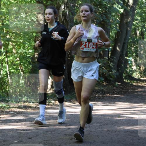 28.09.2025 - 33. Volkslauf durch das schöne Alstertal Strokosch-Dieckow http://msf.ph/oto/8971813 28.09.2025 12:22:43 Laufen 1742, 2104 meine-sportfotos.de