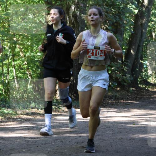 28.09.2025 - 33. Volkslauf durch das schöne Alstertal Strokosch-Dieckow http://msf.ph/oto/8971814 28.09.2025 12:22:43 Laufen 1742, 2104 meine-sportfotos.de