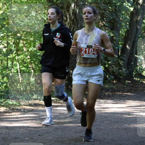 28.09.2025 - 33. Volkslauf durch das schöne Alstertal Strokosch-Dieckow http://msf.ph/oto/8971815 28.09.2025 12:22:43 Laufen 1742, 2104 meine-sportfotos.de