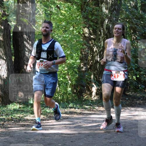 28.09.2025 - 33. Volkslauf durch das schöne Alstertal Strokosch-Dieckow http://msf.ph/oto/8971816 28.09.2025 12:22:49 Laufen 222, 12136 meine-sportfotos.de