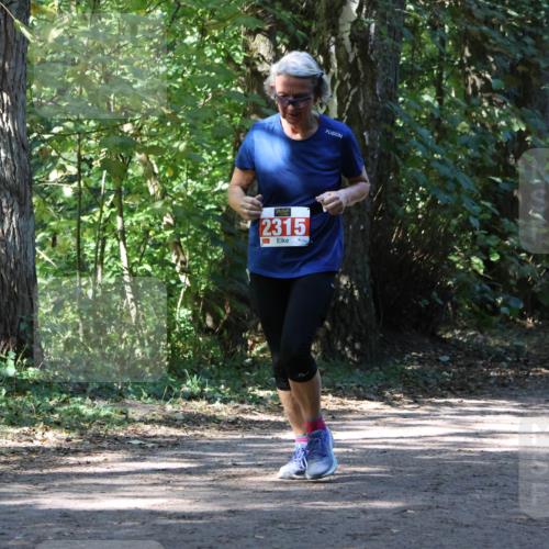 28.09.2025 - 33. Volkslauf durch das schöne Alstertal Strokosch-Dieckow http://msf.ph/oto/8971821 28.09.2025 12:22:53 Laufen 2315 meine-sportfotos.de
