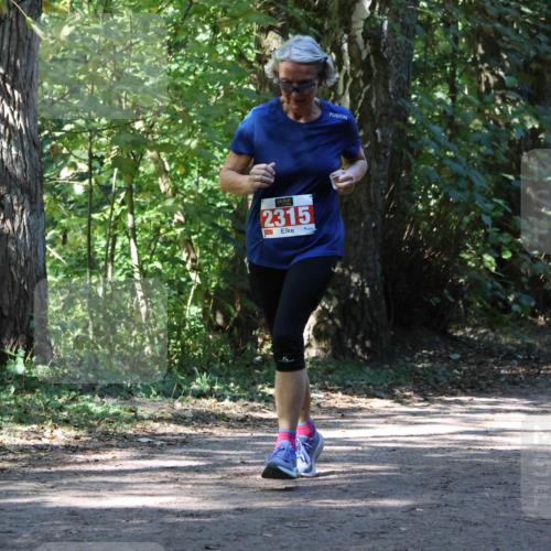 28.09.2025 - 33. Volkslauf durch das schöne Alstertal Strokosch-Dieckow http://msf.ph/oto/8971823 28.09.2025 12:22:53 Laufen 2315 meine-sportfotos.de
