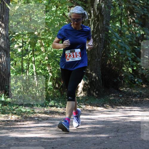 28.09.2025 - 33. Volkslauf durch das schöne Alstertal Strokosch-Dieckow http://msf.ph/oto/8971824 28.09.2025 12:22:53 Laufen 2315, 5, 00, 2194 meine-sportfotos.de