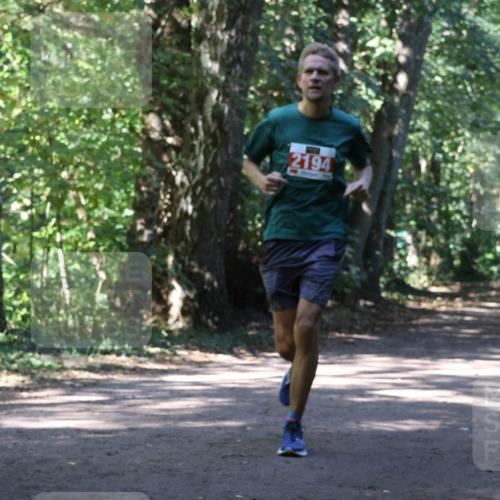 28.09.2025 - 33. Volkslauf durch das schöne Alstertal Strokosch-Dieckow http://msf.ph/oto/8971827 28.09.2025 12:22:54 Laufen 2315, 2194 meine-sportfotos.de