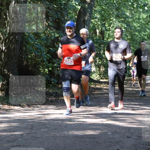 28.09.2025 - 33. Volkslauf durch das schöne Alstertal Strokosch-Dieckow http://msf.ph/oto/8971828 28.09.2025 12:23:04 Laufen 2585, 2162 meine-sportfotos.de