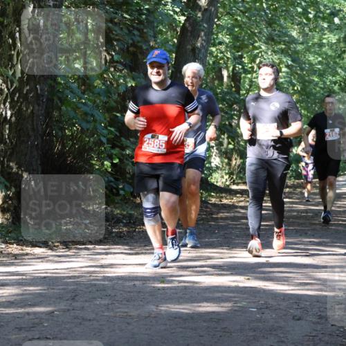 28.09.2025 - 33. Volkslauf durch das schöne Alstertal Strokosch-Dieckow http://msf.ph/oto/8971829 28.09.2025 12:23:04 Laufen 2585, 2162 meine-sportfotos.de
