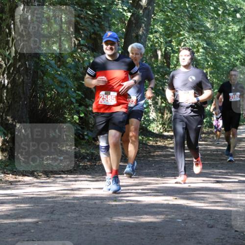 28.09.2025 - 33. Volkslauf durch das schöne Alstertal Strokosch-Dieckow http://msf.ph/oto/8971830 28.09.2025 12:23:04 Laufen 2585, 2162 meine-sportfotos.de