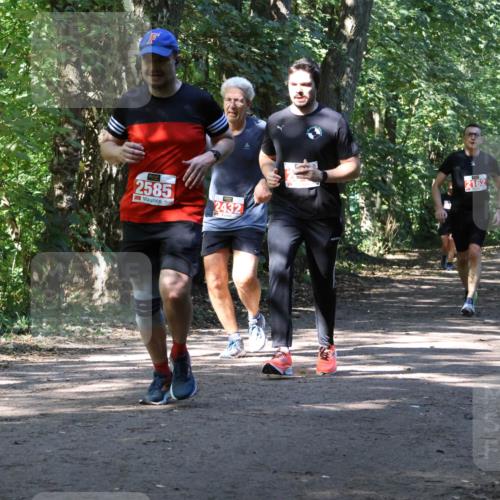 28.09.2025 - 33. Volkslauf durch das schöne Alstertal Strokosch-Dieckow http://msf.ph/oto/8971831 28.09.2025 12:23:05 Laufen 2585, 2432, 2162 meine-sportfotos.de