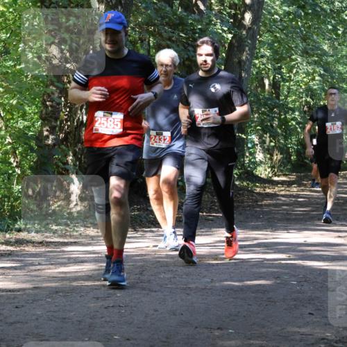 28.09.2025 - 33. Volkslauf durch das schöne Alstertal Strokosch-Dieckow http://msf.ph/oto/8971832 28.09.2025 12:23:05 Laufen 2585, 2432, 2162 meine-sportfotos.de