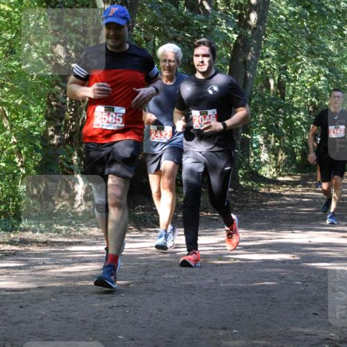28.09.2025 - 33. Volkslauf durch das schöne Alstertal Strokosch-Dieckow http://msf.ph/oto/8971834 28.09.2025 12:23:05 Laufen 2585, 2432, 2046, 2162 meine-sportfotos.de