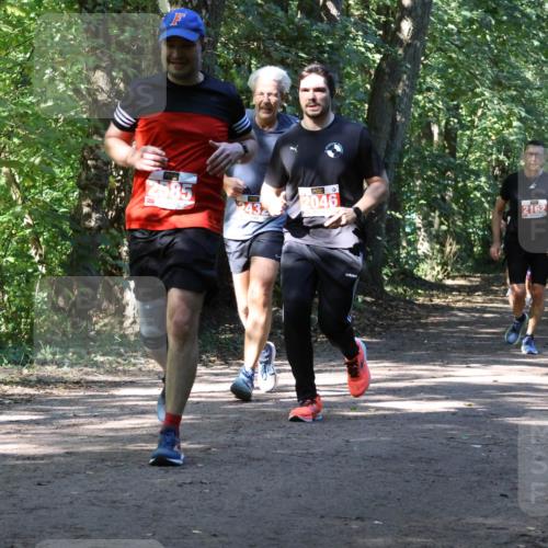 28.09.2025 - 33. Volkslauf durch das schöne Alstertal Strokosch-Dieckow http://msf.ph/oto/8971835 28.09.2025 12:23:06 Laufen 2585, 2046, 2162, 2432 meine-sportfotos.de