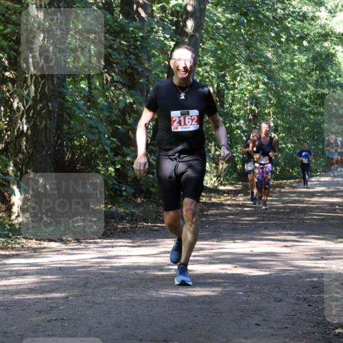 28.09.2025 - 33. Volkslauf durch das schöne Alstertal Strokosch-Dieckow http://msf.ph/oto/8971841 28.09.2025 12:23:08 Laufen 2162 meine-sportfotos.de