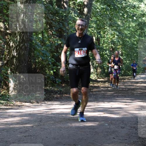28.09.2025 - 33. Volkslauf durch das schöne Alstertal Strokosch-Dieckow http://msf.ph/oto/8971842 28.09.2025 12:23:08 Laufen 2162 meine-sportfotos.de