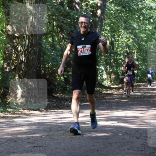 28.09.2025 - 33. Volkslauf durch das schöne Alstertal Strokosch-Dieckow http://msf.ph/oto/8971846 28.09.2025 12:23:09 Laufen 2162 meine-sportfotos.de