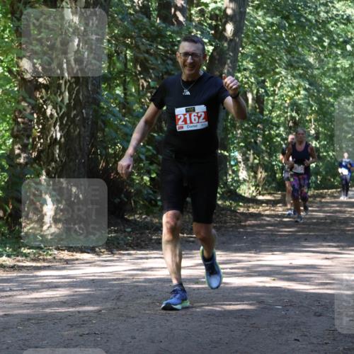 28.09.2025 - 33. Volkslauf durch das schöne Alstertal Strokosch-Dieckow http://msf.ph/oto/8971847 28.09.2025 12:23:09 Laufen 2162 meine-sportfotos.de