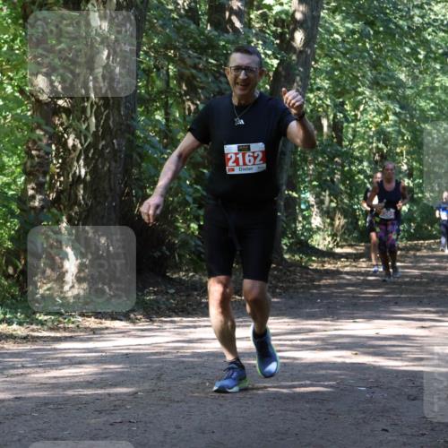 28.09.2025 - 33. Volkslauf durch das schöne Alstertal Strokosch-Dieckow http://msf.ph/oto/8971848 28.09.2025 12:23:09 Laufen 751, 2162 meine-sportfotos.de