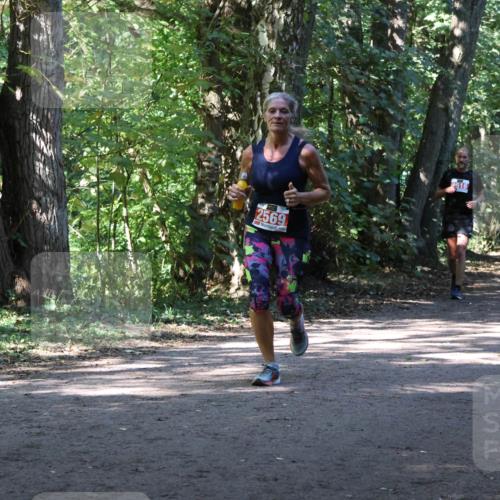 28.09.2025 - 33. Volkslauf durch das schöne Alstertal Strokosch-Dieckow http://msf.ph/oto/8971849 28.09.2025 12:23:14 Laufen 2569, 2516 meine-sportfotos.de