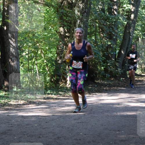 28.09.2025 - 33. Volkslauf durch das schöne Alstertal Strokosch-Dieckow http://msf.ph/oto/8971850 28.09.2025 12:23:14 Laufen 2569 meine-sportfotos.de