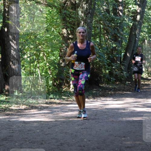 28.09.2025 - 33. Volkslauf durch das schöne Alstertal Strokosch-Dieckow http://msf.ph/oto/8971851 28.09.2025 12:23:14 Laufen 2569 meine-sportfotos.de