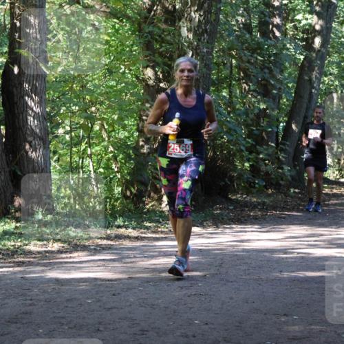 28.09.2025 - 33. Volkslauf durch das schöne Alstertal Strokosch-Dieckow http://msf.ph/oto/8971852 28.09.2025 12:23:14 Laufen 2569 meine-sportfotos.de