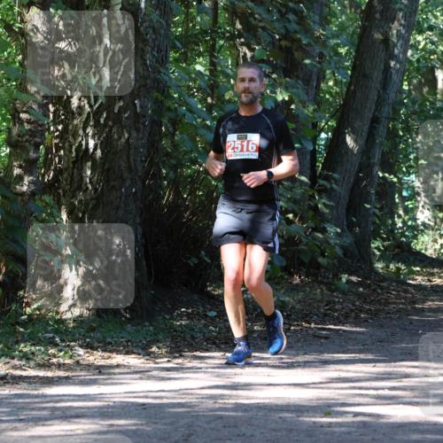 28.09.2025 - 33. Volkslauf durch das schöne Alstertal Strokosch-Dieckow http://msf.ph/oto/8971853 28.09.2025 12:23:17 Laufen 2516 meine-sportfotos.de