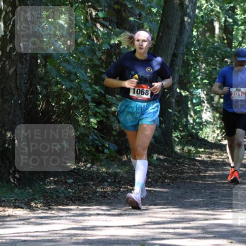 28.09.2025 - 33. Volkslauf durch das schöne Alstertal Strokosch-Dieckow http://msf.ph/oto/8971862 28.09.2025 12:23:25 Laufen 1068, 201, 1094 meine-sportfotos.de