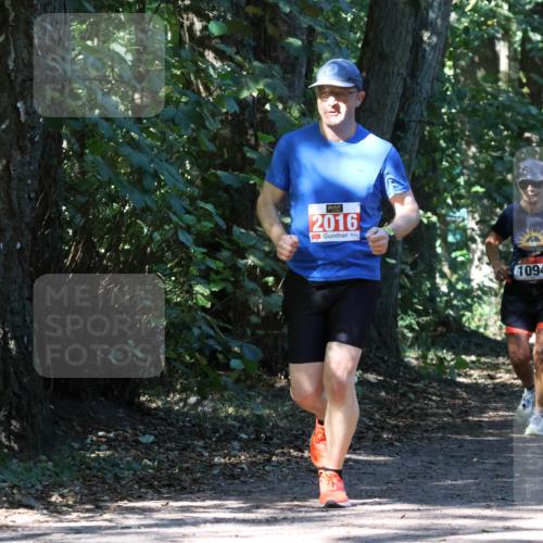 28.09.2025 - 33. Volkslauf durch das schöne Alstertal Strokosch-Dieckow http://msf.ph/oto/8971866 28.09.2025 12:23:27 Laufen 2016, 1094 meine-sportfotos.de