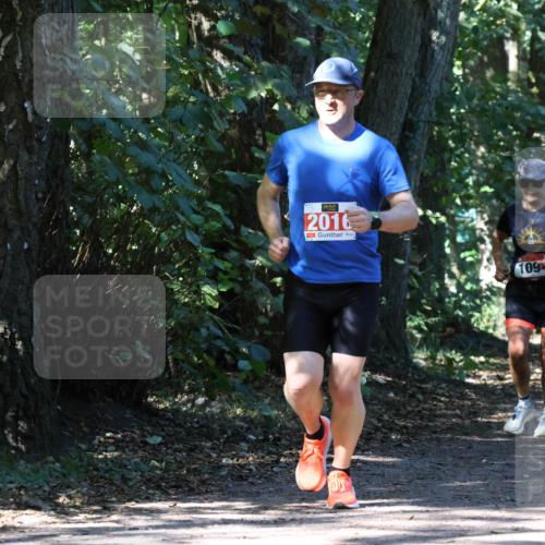 28.09.2025 - 33. Volkslauf durch das schöne Alstertal Strokosch-Dieckow http://msf.ph/oto/8971868 28.09.2025 12:23:27 Laufen 2016, 109 meine-sportfotos.de