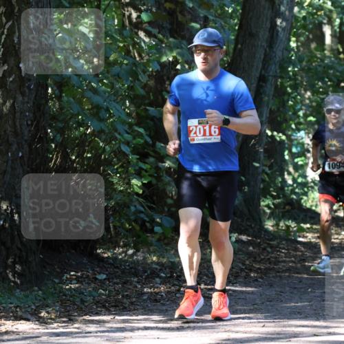 28.09.2025 - 33. Volkslauf durch das schöne Alstertal Strokosch-Dieckow http://msf.ph/oto/8971869 28.09.2025 12:23:27 Laufen 2016, 1094 meine-sportfotos.de