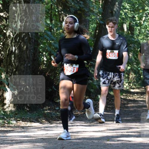 28.09.2025 - 33. Volkslauf durch das schöne Alstertal Strokosch-Dieckow http://msf.ph/oto/8971875 28.09.2025 12:23:54 Laufen 2991, 2498, 2450, 25, 2449 meine-sportfotos.de