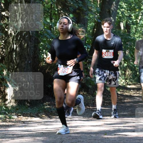 28.09.2025 - 33. Volkslauf durch das schöne Alstertal Strokosch-Dieckow http://msf.ph/oto/8971876 28.09.2025 12:23:55 Laufen 799, 2498, 3, 2450, 2449 meine-sportfotos.de