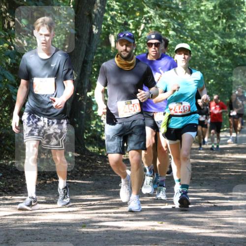 28.09.2025 - 33. Volkslauf durch das schöne Alstertal Strokosch-Dieckow http://msf.ph/oto/8971877 28.09.2025 12:23:56 Laufen 2499, 450, 2449 meine-sportfotos.de