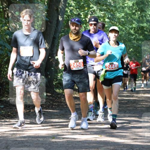 28.09.2025 - 33. Volkslauf durch das schöne Alstertal Strokosch-Dieckow http://msf.ph/oto/8971879 28.09.2025 12:23:56 Laufen 2499, 2450, 2449 meine-sportfotos.de