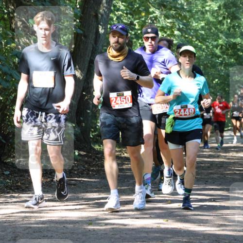 28.09.2025 - 33. Volkslauf durch das schöne Alstertal Strokosch-Dieckow http://msf.ph/oto/8971880 28.09.2025 12:23:56 Laufen 2499, 2450, 2590, 1, 2449 meine-sportfotos.de