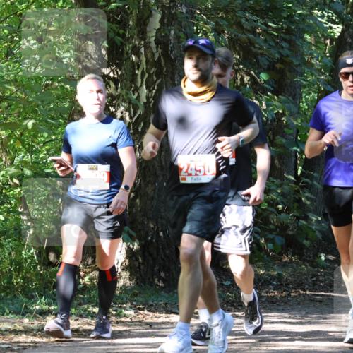 28.09.2025 - 33. Volkslauf durch das schöne Alstertal Strokosch-Dieckow http://msf.ph/oto/8971882 28.09.2025 12:23:57 Laufen 2450, 2449 meine-sportfotos.de