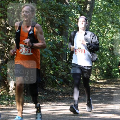 28.09.2025 - 33. Volkslauf durch das schöne Alstertal Strokosch-Dieckow http://msf.ph/oto/8971884 28.09.2025 12:23:59 Laufen 8, 2631, 2630 meine-sportfotos.de