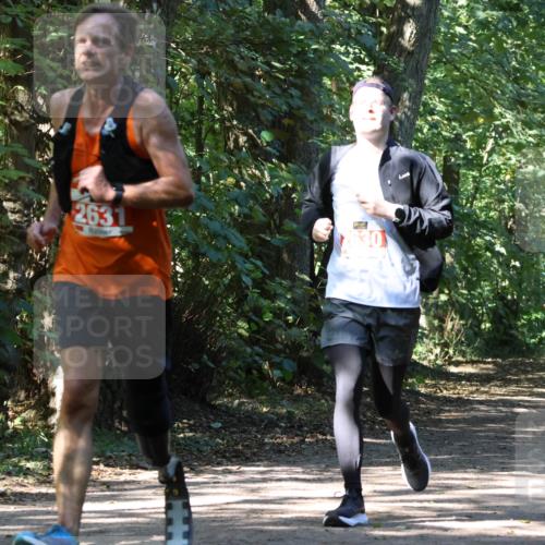 28.09.2025 - 33. Volkslauf durch das schöne Alstertal Strokosch-Dieckow http://msf.ph/oto/8971885 28.09.2025 12:23:59 Laufen 2498, 263, 630 meine-sportfotos.de