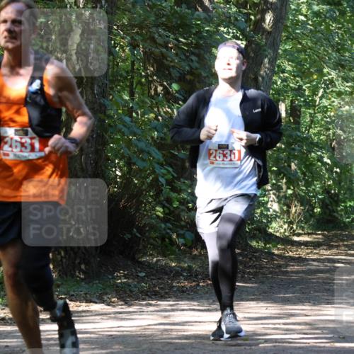 28.09.2025 - 33. Volkslauf durch das schöne Alstertal Strokosch-Dieckow http://msf.ph/oto/8971889 28.09.2025 12:23:59 Laufen 198, 2631, 2630 meine-sportfotos.de