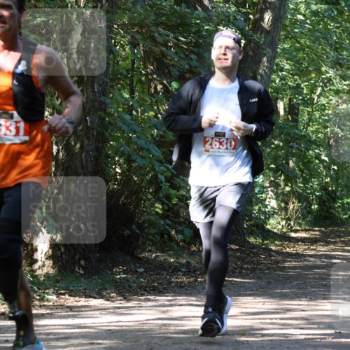 28.09.2025 - 33. Volkslauf durch das schöne Alstertal Strokosch-Dieckow http://msf.ph/oto/8971890 28.09.2025 12:23:59 Laufen 98, 2631, 2630 meine-sportfotos.de
